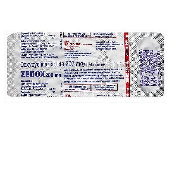 ZEDOX Tablets 200mg (10)