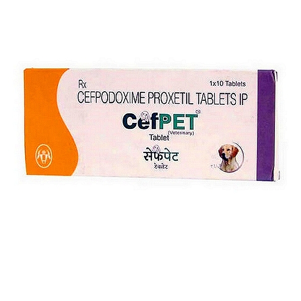 CefPET 100mg Tablets (10)
