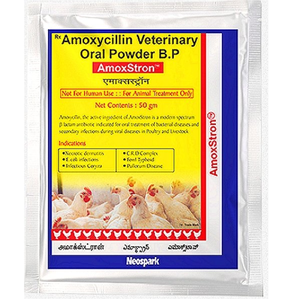 Amoxicillin Oral Powder