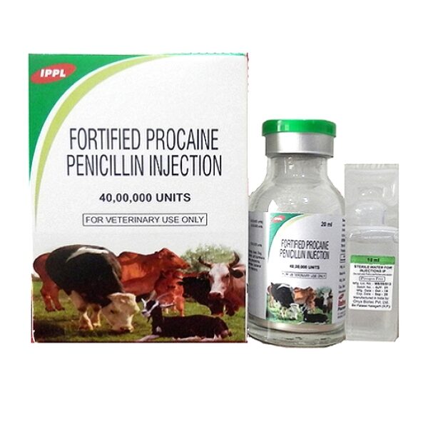 Fortified Procaine Penicillin Injection