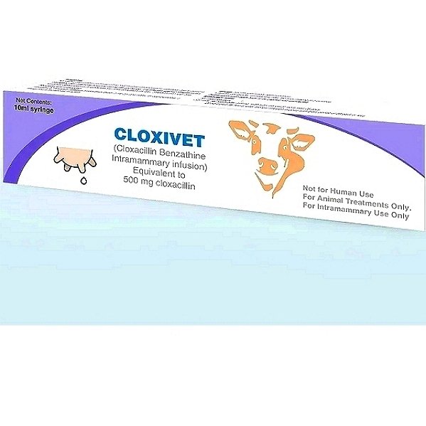 Cloxacillin