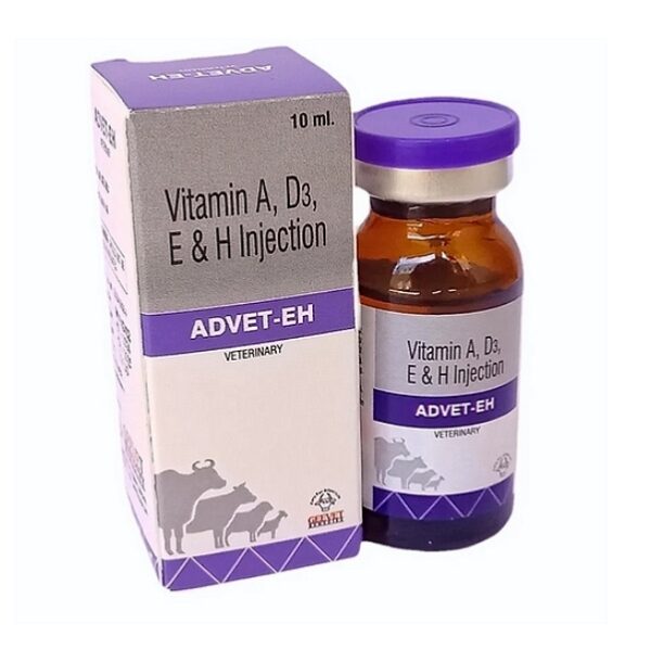 Vitamin A, D3, E & H Injection