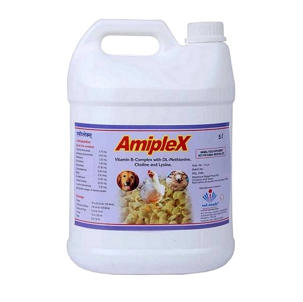 Vitamin B-Complex & Lysine Liquid