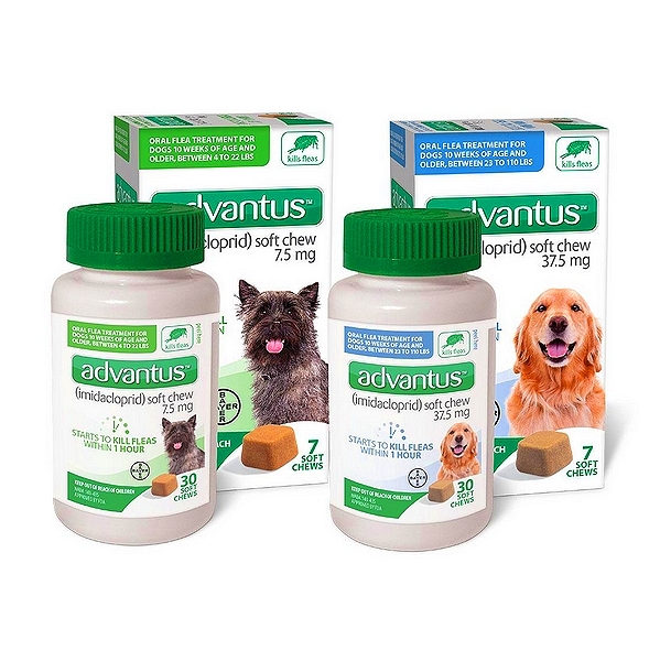 Advantus Chewable Tablets for Dogs