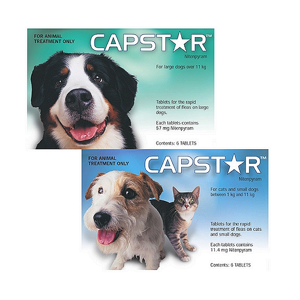Capstar Chewable Tablets for Dogs