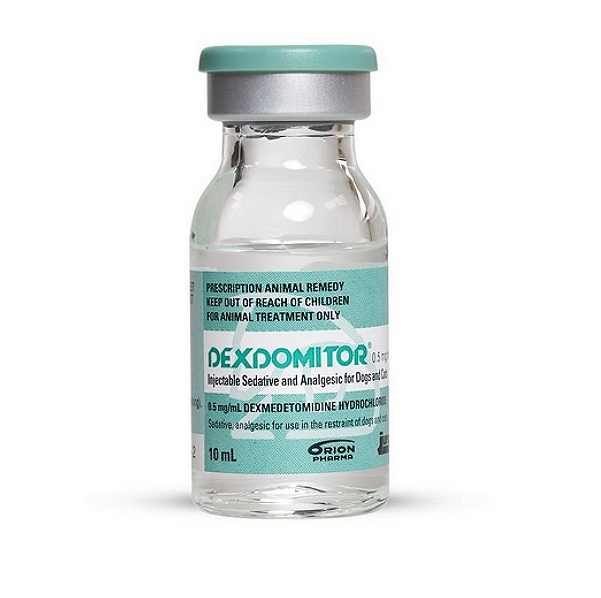 Dexdomitor Injection