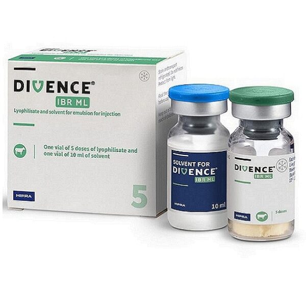 DIVENCE IBR ML