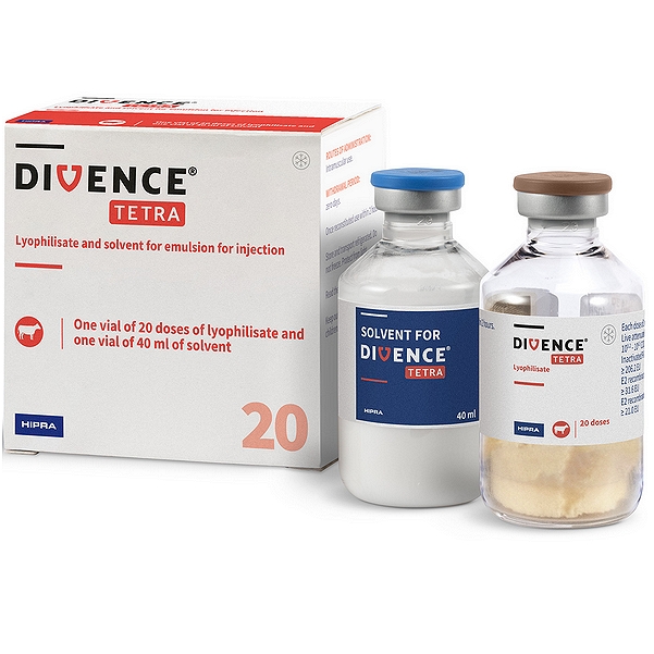 DIVENCE Tetra