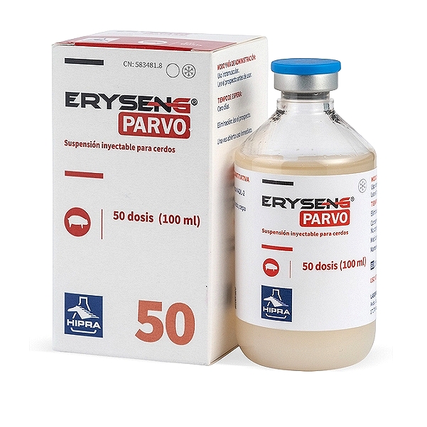ERYSENG PARVO