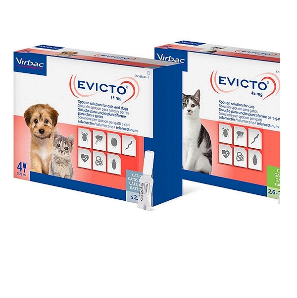 EVICTO Spot-On Solution for Cats & Dogs
