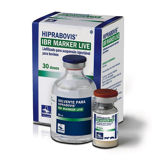 Hiprabovis IBR Marker