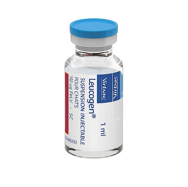 Leucogen Injection