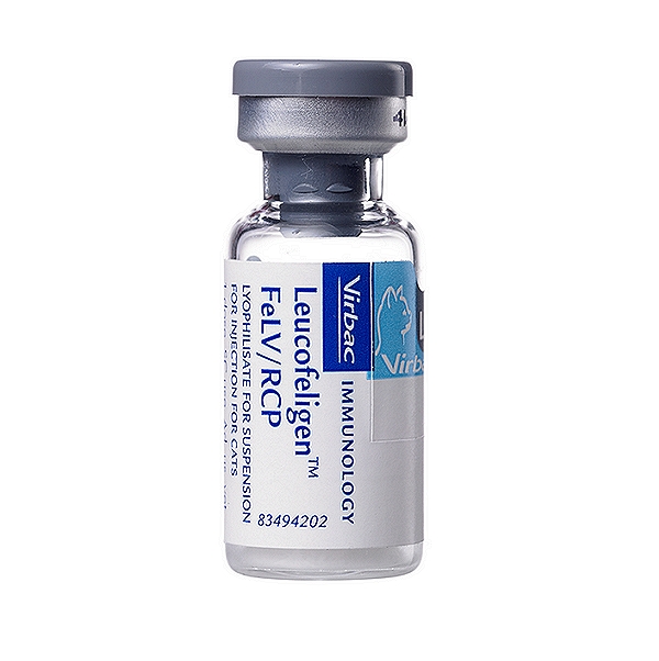 Leucofeligen FeLV/RCP Injection