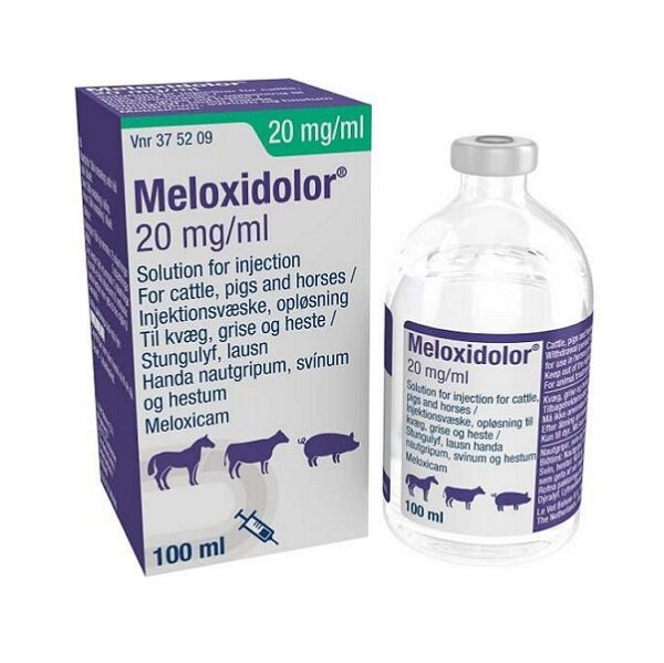 Meloxidolor Injection