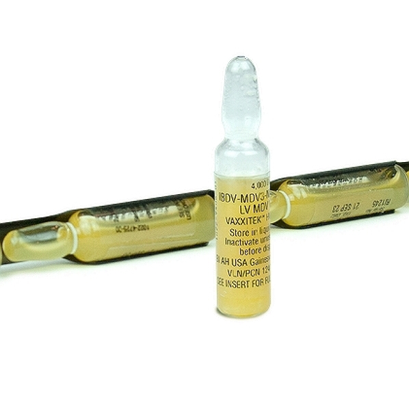 Prevexxion RN+HVT