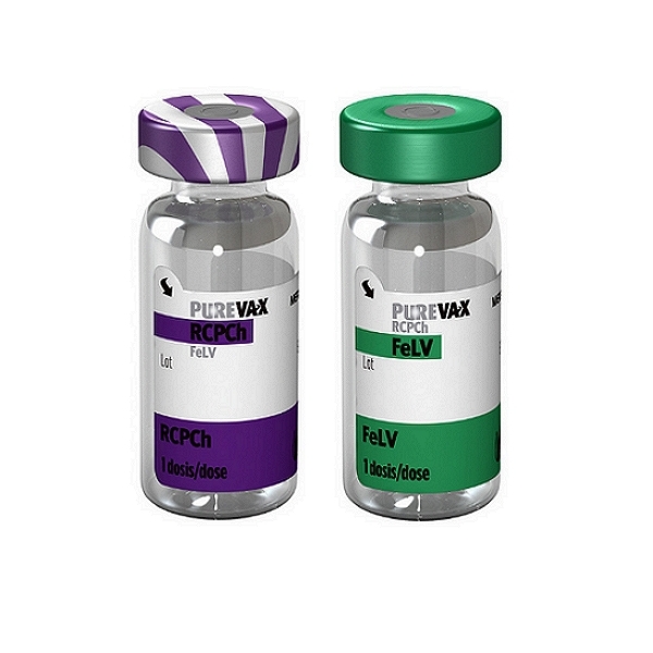 Purevax RCPCh FeLV