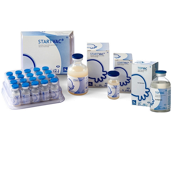 STARTVAC Injection