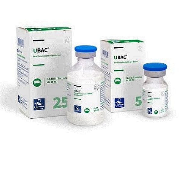 UBAC Injection