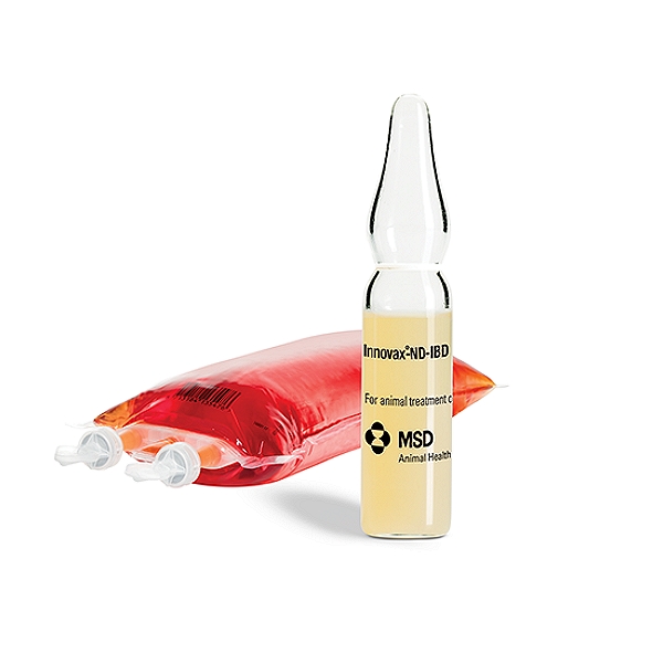 Ultifend ND IBD Vaccine