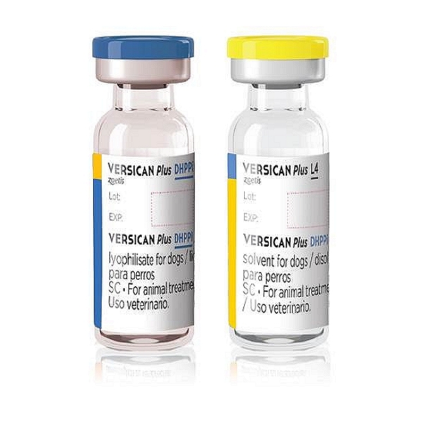 Versican Plus DHPPi/L4