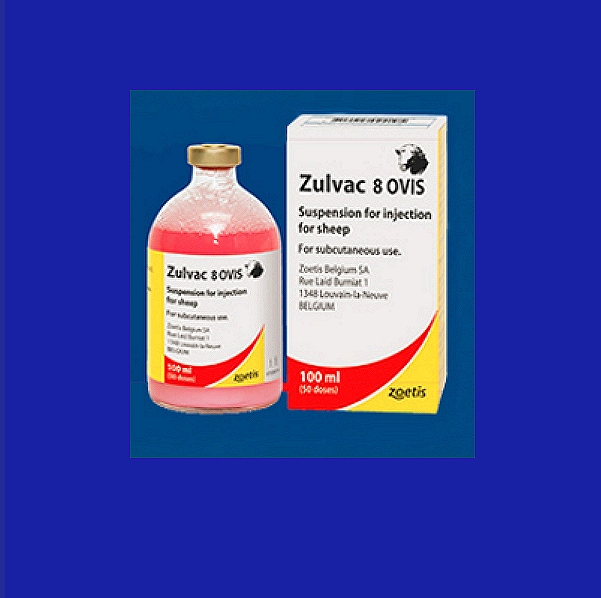 Zulvac 1+8 Ovis Vaccine