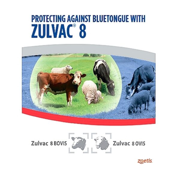 Zulvac 1+8 Ovis