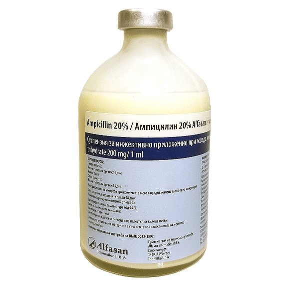 Ampicillin