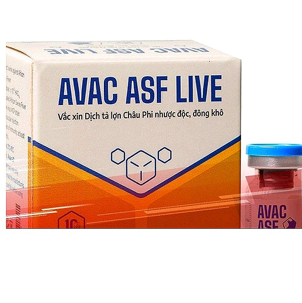 African Swine Fever Vaccine