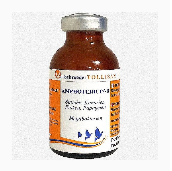 Amphotericin-B