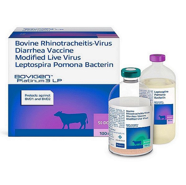 Leptospira Pomona Vaccine