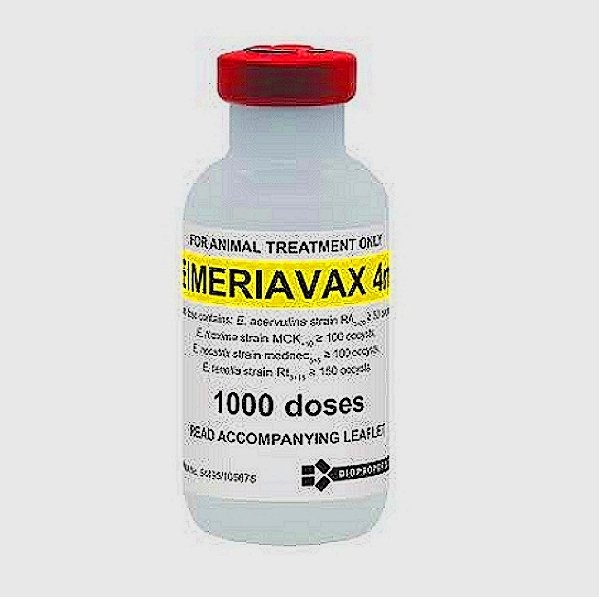 Eimeria Tenella Vaccine