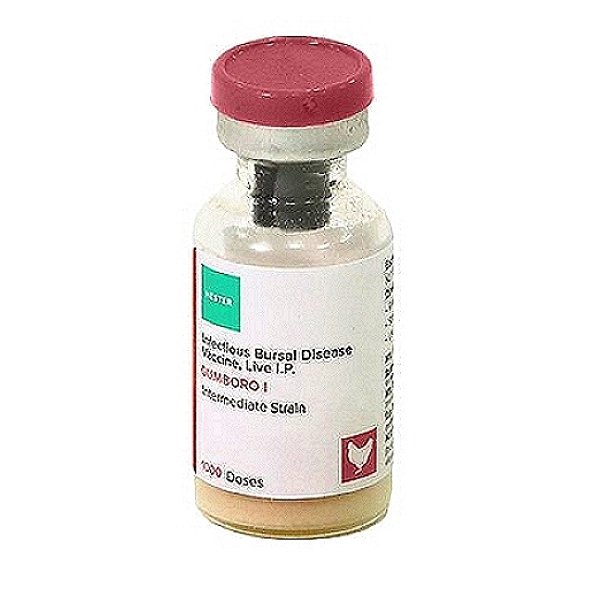 GUMBORO I Vaccine
