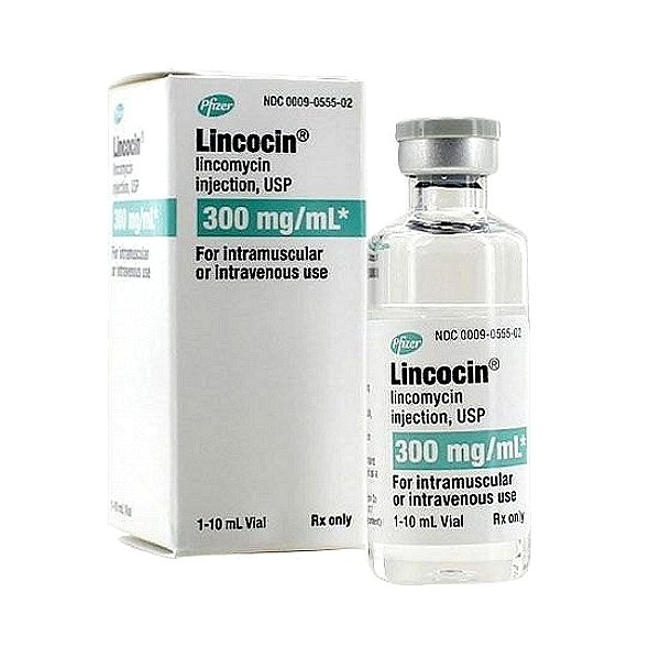Lincomycin