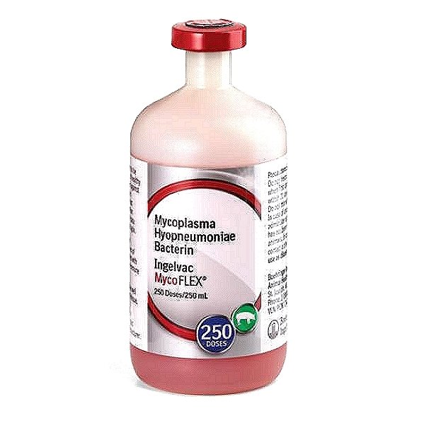 Mycoplasma Hyopneumoniae Vaccine