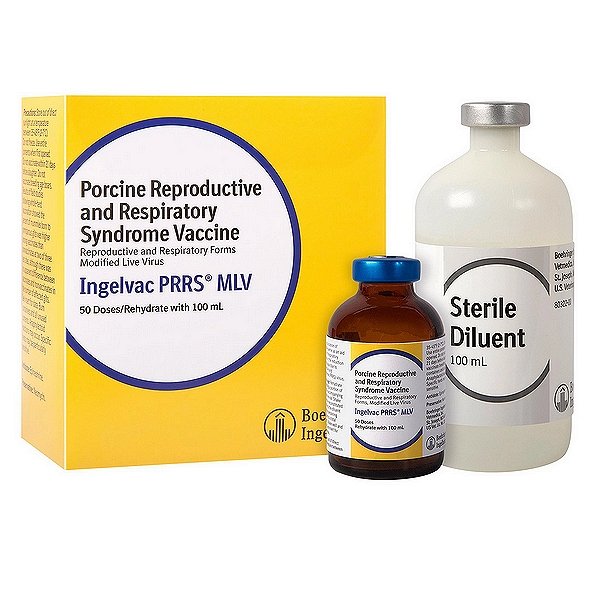 Porcine Reproductive and Respiratory Syndrome Vaccine