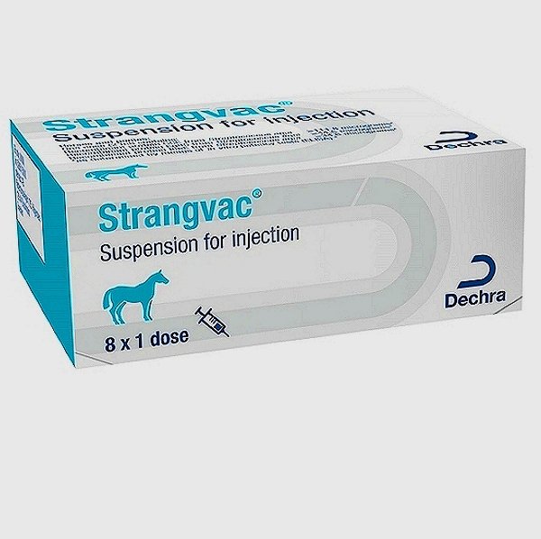 Strangles Vaccine