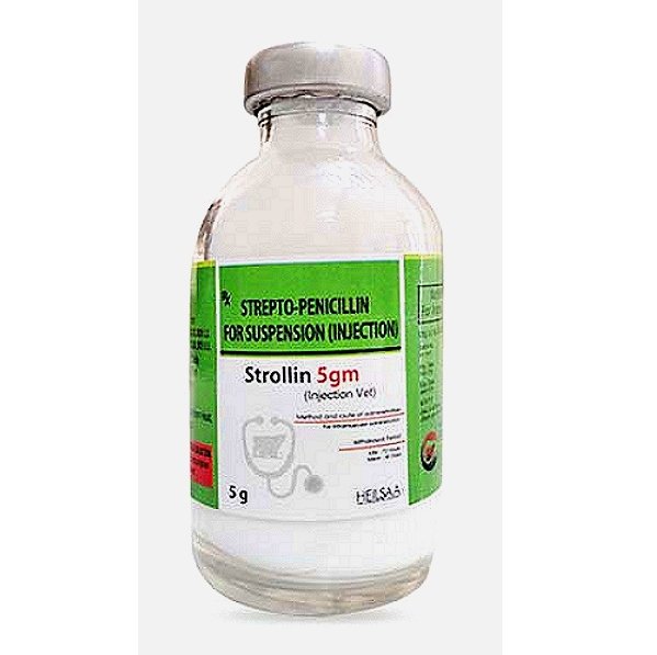 Procaine Penicillin G & Streptomycin sulfate