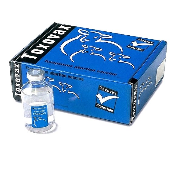 Toxoplasmosis Vaccine