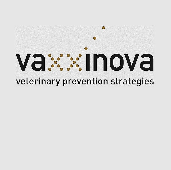 Salmonella Kentucky Vaccine