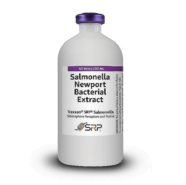 Salmonella Vaccine