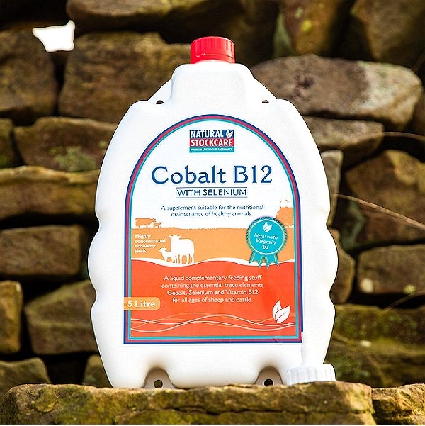 Vitamin B12 plus Selenium
