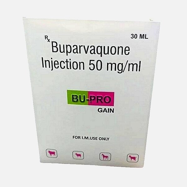 Baquiloprim
