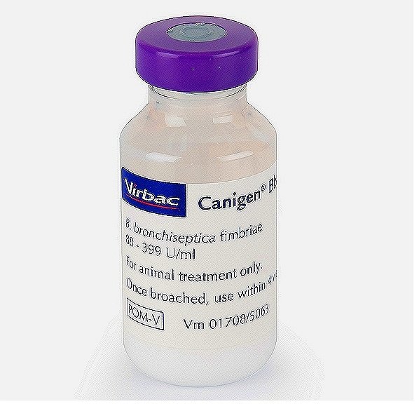 Bordetella Avium Vaccine