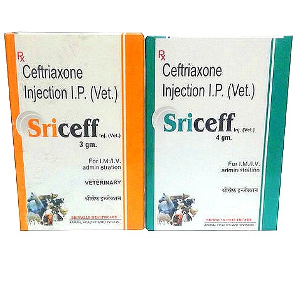Ceftriaxone