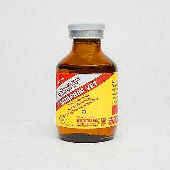 Trimethoprim & Sulfonamide