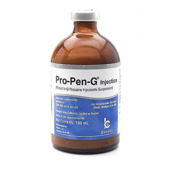 Benzylpenicillin Procaine / Benzathine Penicillin